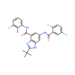 Cc1c(Cl)cccc1NC(=O)c1cc(NC(=O)c2cc(Cl)ccc2Cl)cc2[nH]c(C(C)(C)C)nc12 ZINC000218678968