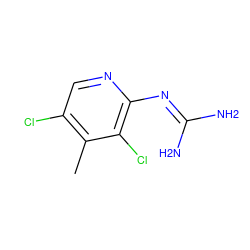 Cc1c(Cl)cnc(N=C(N)N)c1Cl ZINC000013436514