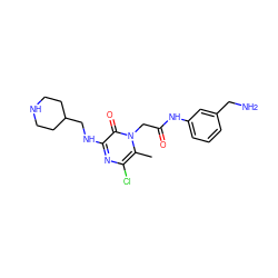 Cc1c(Cl)nc(NCC2CCNCC2)c(=O)n1CC(=O)Nc1cccc(CN)c1 ZINC000028379467