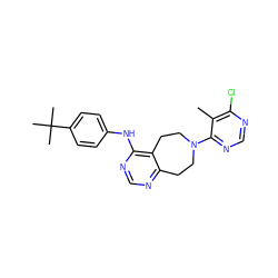 Cc1c(Cl)ncnc1N1CCc2ncnc(Nc3ccc(C(C)(C)C)cc3)c2CC1 ZINC000146449063