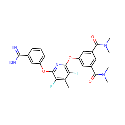 Cc1c(F)c(Oc2cccc(C(=N)N)c2)nc(Oc2cc(C(=O)N(C)C)cc(C(=O)N(C)C)c2)c1F ZINC000013474036