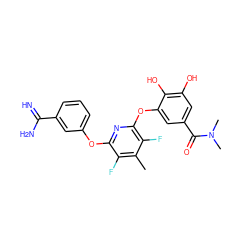 Cc1c(F)c(Oc2cccc(C(=N)N)c2)nc(Oc2cc(C(=O)N(C)C)cc(O)c2O)c1F ZINC000013474034