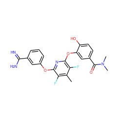 Cc1c(F)c(Oc2cccc(C(=N)N)c2)nc(Oc2cc(C(=O)N(C)C)ccc2O)c1F ZINC000013474040