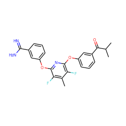 Cc1c(F)c(Oc2cccc(C(=N)N)c2)nc(Oc2cccc(C(=O)C(C)C)c2)c1F ZINC000013474007