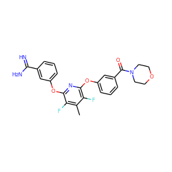 Cc1c(F)c(Oc2cccc(C(=N)N)c2)nc(Oc2cccc(C(=O)N3CCOCC3)c2)c1F ZINC000013473992