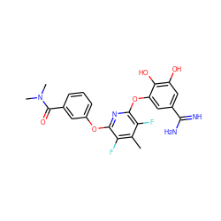 Cc1c(F)c(Oc2cccc(C(=O)N(C)C)c2)nc(Oc2cc(C(=N)N)cc(O)c2O)c1F ZINC000013474050