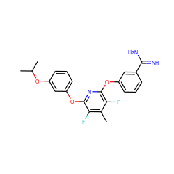 Cc1c(F)c(Oc2cccc(OC(C)C)c2)nc(Oc2cccc(C(=N)N)c2)c1F ZINC000013474024