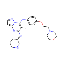 Cc1c(N[C@H]2CCCNC2)nc2ccnn2c1Nc1ccc(OCCN2CCOCC2)cc1 ZINC000095553201