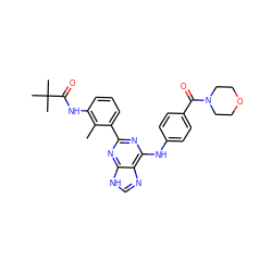 Cc1c(NC(=O)C(C)(C)C)cccc1-c1nc(Nc2ccc(C(=O)N3CCOCC3)cc2)c2nc[nH]c2n1 ZINC000169341177