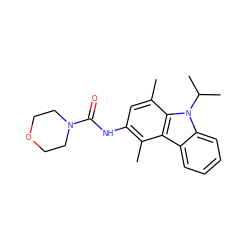 Cc1c(NC(=O)N2CCOCC2)cc(C)c2c1c1ccccc1n2C(C)C ZINC000027102005