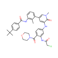 Cc1c(NC(=O)c2ccc(C(C)(C)C)cc2)cccc1-c1cc(Nc2ccc(C(=O)N3CCOCC3)c(NC(=O)CCl)c2)c(=O)n(C)c1 ZINC001772627463