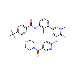 Cc1c(NC(=O)c2ccc(C(C)(C)C)cc2)cccc1-c1cc(Nc2ccc(C(=O)N3CCOCC3)cn2)c(=O)n(C)c1 ZINC000063539615