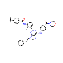 Cc1c(NC(=O)c2ccc(C(C)(C)C)cc2)cccc1-c1nc(Nc2ccc(C(=O)N3CCOCC3)cc2)c2ncn(CCc3ccccc3)c2n1 ZINC000169341158