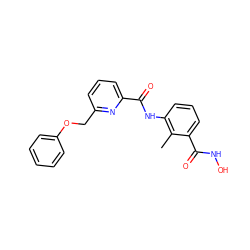 Cc1c(NC(=O)c2cccc(COc3ccccc3)n2)cccc1C(=O)NO ZINC000028467148