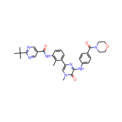 Cc1c(NC(=O)c2cnc(C(C)(C)C)nc2)cccc1-c1cn(C)c(=O)c(Nc2ccc(C(=O)N3CCOCC3)cc2)n1 ZINC000115158722