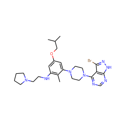 Cc1c(NCCN2CCCC2)cc(OCC(C)C)cc1N1CCN(c2ncnc3[nH]nc(Br)c23)CC1 ZINC000084632482