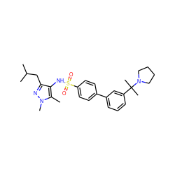 Cc1c(NS(=O)(=O)c2ccc(-c3cccc(C(C)(C)N4CCCC4)c3)cc2)c(CC(C)C)nn1C ZINC000149992336