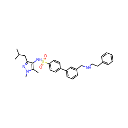 Cc1c(NS(=O)(=O)c2ccc(-c3cccc(CNCCc4ccccc4)c3)cc2)c(CC(C)C)nn1C ZINC000199944491