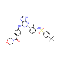 Cc1c(NS(=O)(=O)c2ccc(C(C)(C)C)cc2)cccc1-c1nc(Nc2ccc(C(=O)N3CCOCC3)cc2)c2nc[nH]c2n1 ZINC000169341186