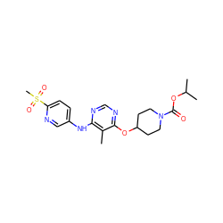 Cc1c(Nc2ccc(S(C)(=O)=O)nc2)ncnc1OC1CCN(C(=O)OC(C)C)CC1 ZINC000073386142