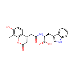 Cc1c(O)ccc2c(CC(=O)N[C@@H](Cc3c[nH]c4ccccc34)C(=O)O)cc(=O)oc12 ZINC000008917809