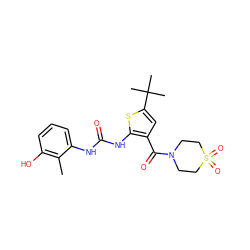 Cc1c(O)cccc1NC(=O)Nc1sc(C(C)(C)C)cc1C(=O)N1CCS(=O)(=O)CC1 ZINC000066259849