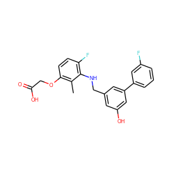 Cc1c(OCC(=O)O)ccc(F)c1NCc1cc(O)cc(-c2cccc(F)c2)c1 ZINC000218867810