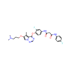 Cc1c(OCCCN(C)C)cn2ncnc(Oc3ccc(NC(=O)CC(=O)Nc4ccc(F)cc4)cc3F)c12 ZINC000029040602