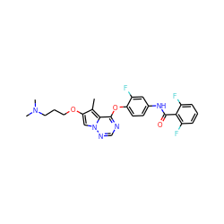 Cc1c(OCCCN(C)C)cn2ncnc(Oc3ccc(NC(=O)c4c(F)cccc4F)cc3F)c12 ZINC000029040584