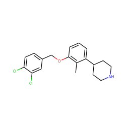 Cc1c(OCc2ccc(Cl)c(Cl)c2)cccc1C1CCNCC1 ZINC000040937075