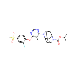 Cc1c(Oc2ccc(S(C)(=O)=O)cc2F)ncnc1N1C2CC3CC1CC(C2)N3C(=O)OC(C)C ZINC000095596741