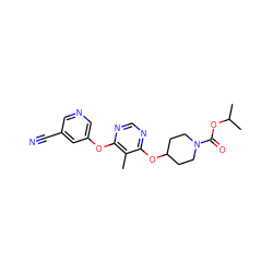 Cc1c(Oc2cncc(C#N)c2)ncnc1OC1CCN(C(=O)OC(C)C)CC1 ZINC000073281015