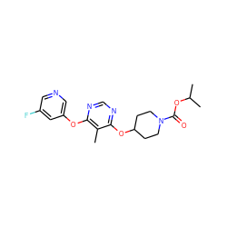 Cc1c(Oc2cncc(F)c2)ncnc1OC1CCN(C(=O)OC(C)C)CC1 ZINC000073281014