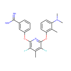 Cc1c(Oc2nc(Oc3cccc(C(=N)N)c3)c(F)c(C)c2F)cccc1N(C)C ZINC000013474042