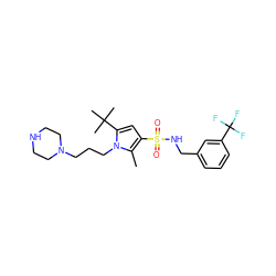 Cc1c(S(=O)(=O)NCc2cccc(C(F)(F)F)c2)cc(C(C)(C)C)n1CCCN1CCNCC1 ZINC000220778064