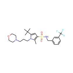 Cc1c(S(=O)(=O)NCc2cccc(C(F)(F)F)c2)cc(C(C)(C)C)n1CCCN1CCOCC1 ZINC000220775577