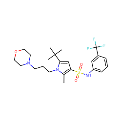 Cc1c(S(=O)(=O)Nc2cccc(C(F)(F)F)c2)cc(C(C)(C)C)n1CCCN1CCOCC1 ZINC000220838725