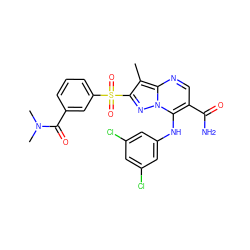 Cc1c(S(=O)(=O)c2cccc(C(=O)N(C)C)c2)nn2c(Nc3cc(Cl)cc(Cl)c3)c(C(N)=O)cnc12 ZINC000653787248