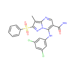 Cc1c(S(=O)(=O)c2ccccc2)nn2c(Nc3cc(Cl)cc(Cl)c3)c(C(N)=O)cnc12 ZINC000653787424