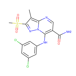 Cc1c(S(C)(=O)=O)nn2c(Nc3cc(Cl)cc(Cl)c3)c(C(N)=O)cnc12 ZINC000653785962