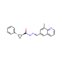 Cc1cc(/C=N/NC(=O)[C@H]2C[C@@H]2c2ccccc2)cc2cccnc12 ZINC000115595564