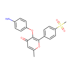 Cc1cc(=O)c(Oc2ccc(N)cc2)c(-c2ccc(S(C)(=O)=O)cc2)o1 ZINC000013581231