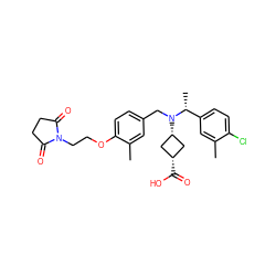 Cc1cc([C@@H](C)N(Cc2ccc(OCCN3C(=O)CCC3=O)c(C)c2)[C@H]2C[C@@H](C(=O)O)C2)ccc1Cl ZINC000473244599