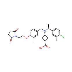 Cc1cc([C@H](C)N(Cc2ccc(OCCN3C(=O)CCC3=O)c(C)c2)[C@H]2C[C@@H](C(=O)O)C2)ccc1Cl ZINC000473179735