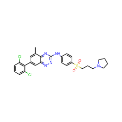 Cc1cc(-c2c(Cl)cccc2Cl)cc2nnc(Nc3ccc(S(=O)(=O)CCCN4CCCC4)cc3)nc12 ZINC000096167812