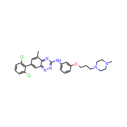 Cc1cc(-c2c(Cl)cccc2Cl)cc2nnc(Nc3cccc(OCCCN4CCN(C)CC4)c3)nc12 ZINC000096167721