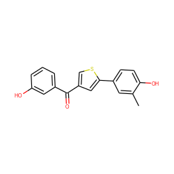 Cc1cc(-c2cc(C(=O)c3cccc(O)c3)cs2)ccc1O ZINC000064447127