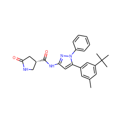 Cc1cc(-c2cc(NC(=O)[C@@H]3CNC(=O)C3)nn2-c2ccccc2)cc(C(C)(C)C)c1 ZINC000169707329