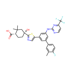 Cc1cc(-c2cc(Nc3nccc(C(F)(F)F)n3)cc(-c3cnc([C@@]4(O)CC[C@H](C(=O)O)C(C)(C)C4)s3)c2)ccc1F ZINC000221405565