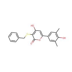 Cc1cc(-c2cc(O)c(SCc3ccccc3)c(=O)o2)cc(C)c1O ZINC000006521963